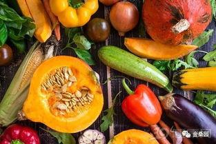 户外吃瓜最重要,畅享夏日清凉时光