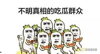 吃瓜为大,吃瓜群众视角下的娱乐圈风云录