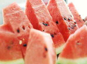 吃瓜怎么打线条,解锁趣味插画新技能