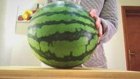 吃瓜怎么打线条,解锁趣味插画新技能