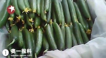 雾里看花渴了吃瓜