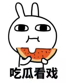 兔斯基吃瓜
