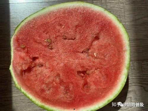 科普热搜吃瓜,网络舆论的狂欢与反思