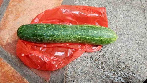 什么瓜可以吃视频