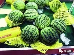 围观吃瓜啥意思,揭秘网络热议背后的真相与趣味