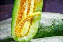 网红吃瓜 网站,揭秘娱乐圈幕后真相，带你领略明星生活百态