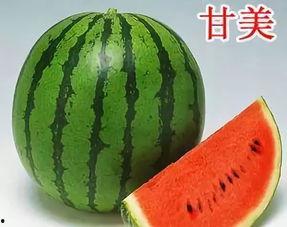 无西瓜吃瓜技巧,轻松吃瓜技巧大公开